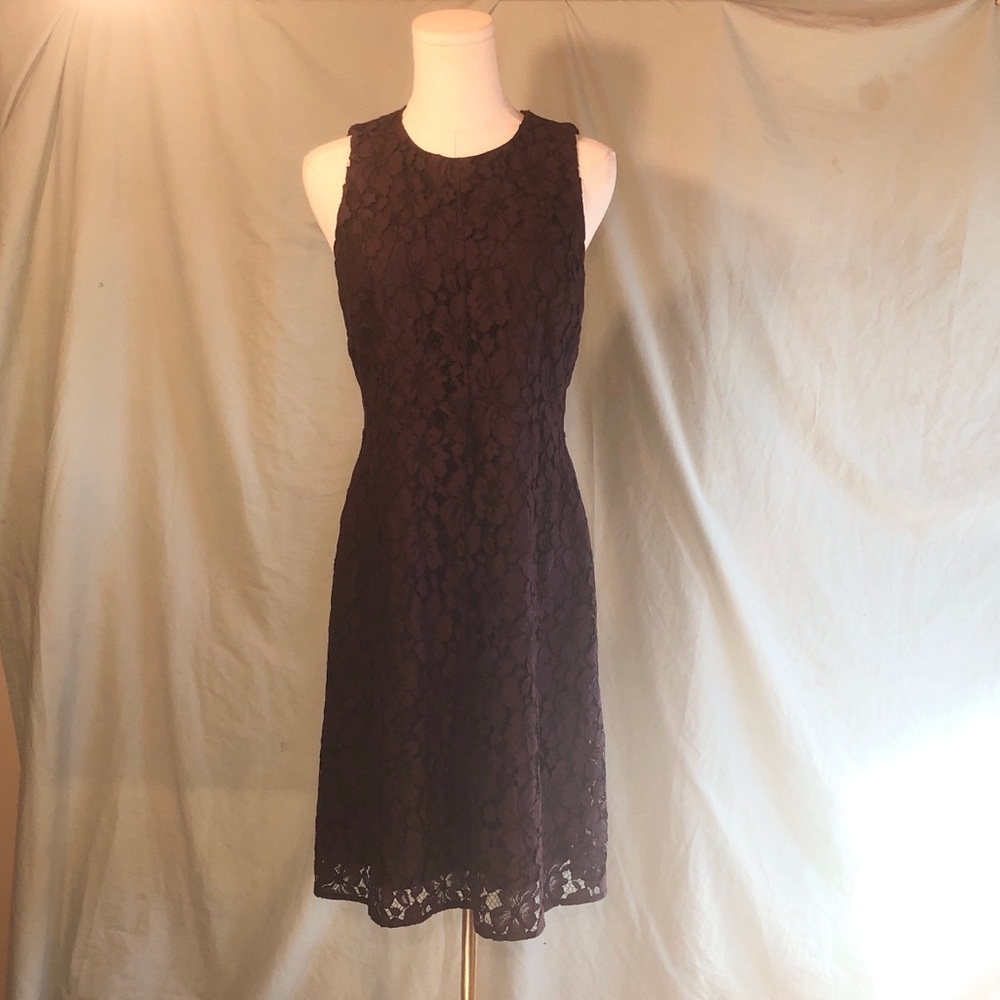 Plum A-line Cotton Blend Lace Midi Dress Ann Taylor